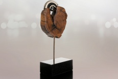 Coeur d'Olivier