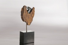 Coeur D'Olivier