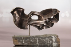 Coq de Bruyère