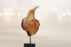 L'Oiseau Des Bois